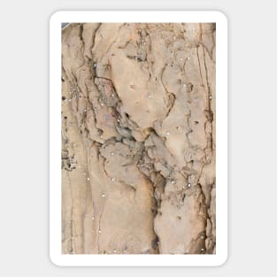 Beach side intimate rock texture Sticker